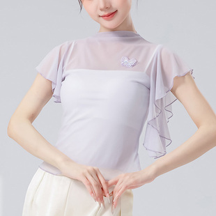 夏季中国古典舞短袖网纱上衣学生飘逸纱衣练功服小高领飞袖舞蹈服