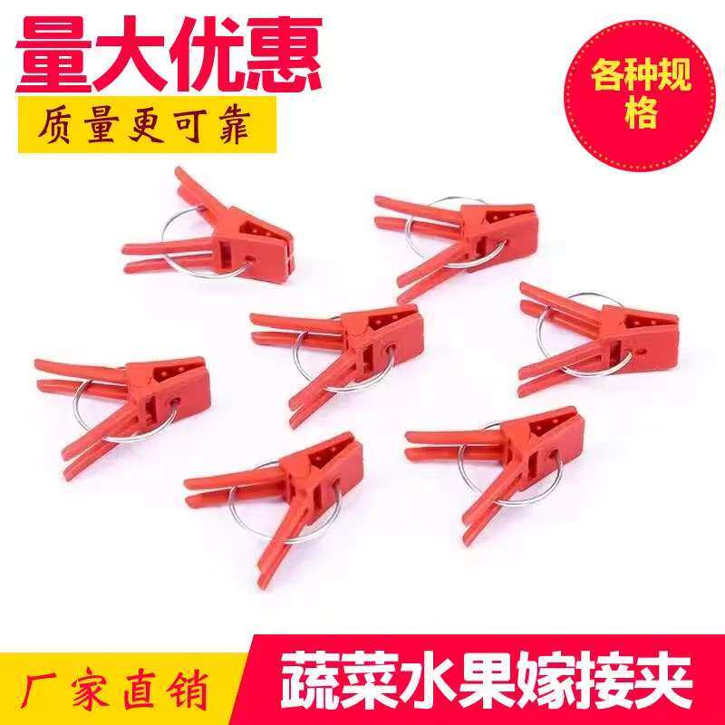 嫁接小夹子黄瓜嫁接夹苗卡子嫁接蟹爪兰圆口芽接瓜苗育苗植物西瓜