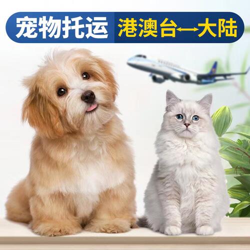 香港宠物托运猫狗鉴定品相代买