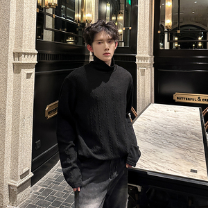 简约慵懒休闲长袖针织高领打底衫纯色外穿内搭T恤 409-J222-P48图片