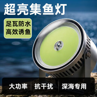 1000W大功率渔船船用捕鱼海钓夜钓灯鱿鱼诱鱼聚鱼led集鱼灯照明灯