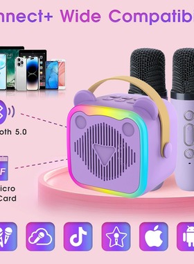 Portable Bluetooth speaker system with microphone karaoke
