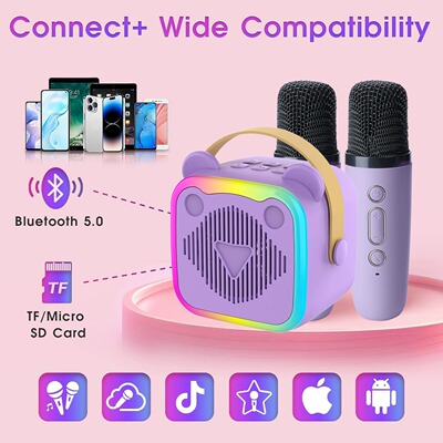 Portable Bluetooth speaker system with microphone karaoke