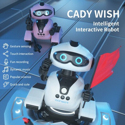 JJRC R22 Robot Toy Gesture Sensing Music Recording Education
