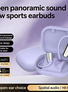 Wireless Bluetooth Earphones Ear Hook In-Ear Noise Reduction