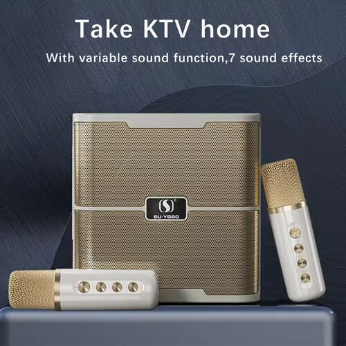 Karaoke Speaker System Home Sing Machine Dual Microphone