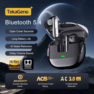 AI Translator Earbuds Smart Assistant Headphones Translation