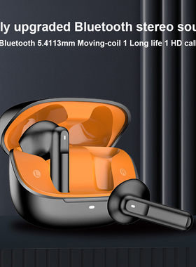 Wireless Bluetooth Earphone Dual Mic Noise Reduction earbuds