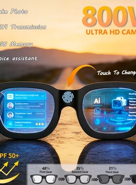 Smart Glasses camera Video OpenAI Translation  sunglasses