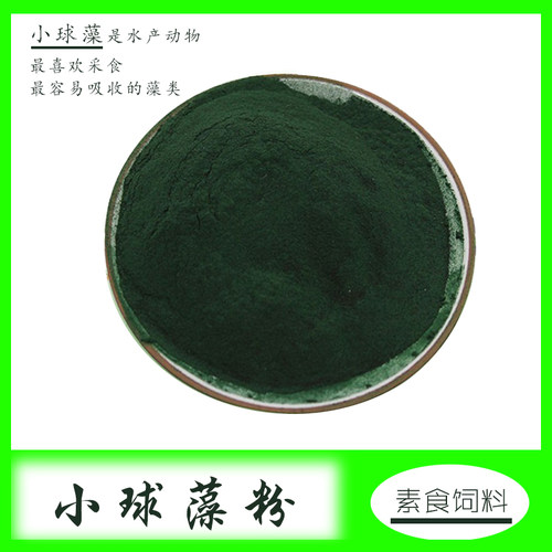 小球藻生长素鱼苗开口观赏水晶虾