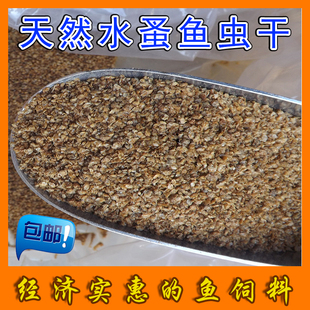 天然鱼虫干 水蚤干鱼食鱼粮热带鱼小锦鲤金鱼诱饵高蛋白鱼饵饲料
