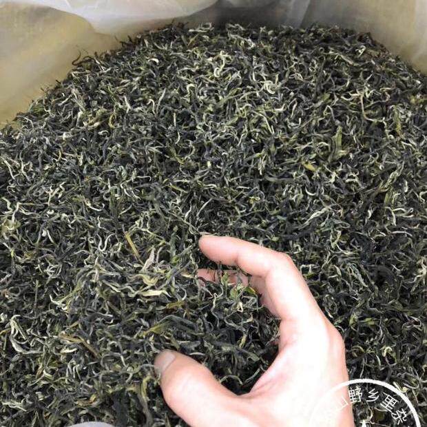 2026清明茶九峰浓香绿茶清香绿茶春茶乐昌绿茶散装绿茶茶叶500g