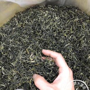 2026清明茶九峰浓香绿茶清香绿茶春茶乐昌绿茶散装绿茶茶叶500g