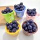 5枚～大号仿真食玩立体蓝莓水果篮配件diy微景观车载装 饰树脂摆件
