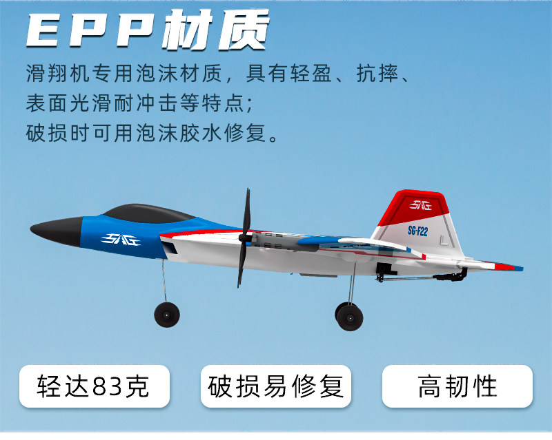 松果林模型sg-f22四通道特技遥控飞机模型固定翼战斗机航模模型