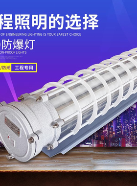 国标T8防爆灯LED长条形荧光日光灯单双管Ex隔爆型dIICT6Gb三防灯