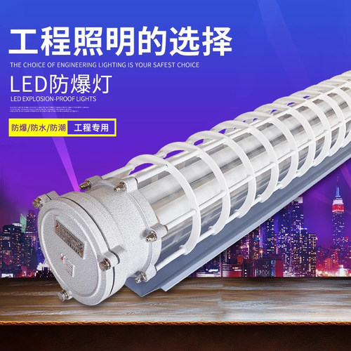 国标t8防爆灯led荧光单双管