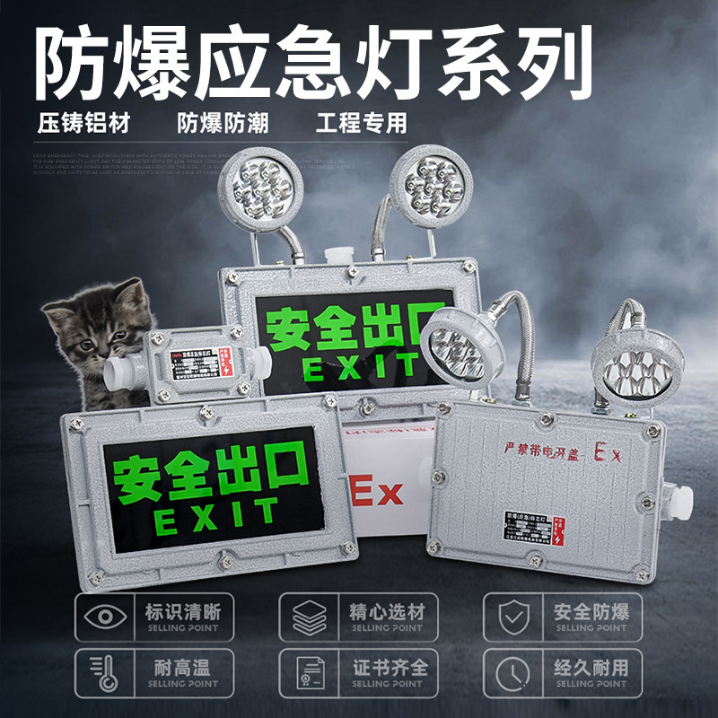 防爆双头应急灯led消防照明应急灯安全出口疏散指示灯牌灯标识灯