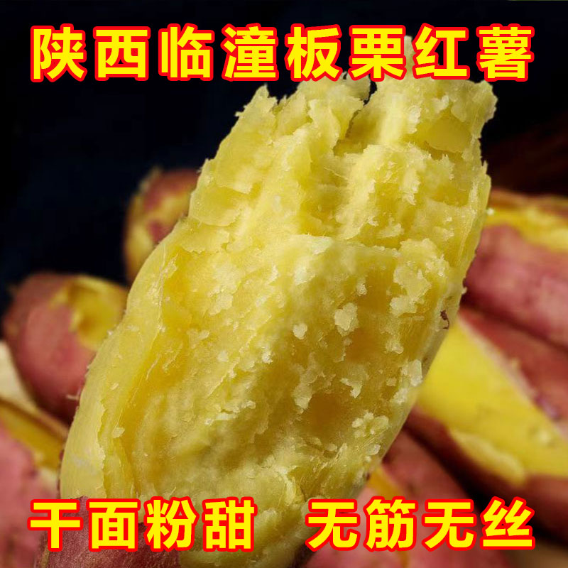 陕西临潼板栗红薯新鲜地瓜农家自种沙土番薯现挖现发