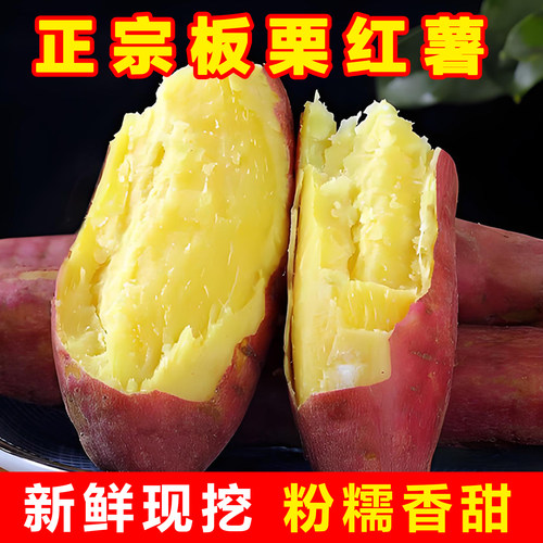 正宗陕西临潼板栗红薯现挖沙地蜜薯新鲜番薯农家自种香薯粉糯香甜