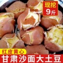 甘肃定西马铃薯土豆新鲜红皮黄心洋芋马铃薯辅食粉糯沙面土豆批发