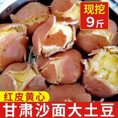 甘肃定西马铃薯土豆新鲜红皮黄心洋芋马铃薯辅食粉糯沙面土豆批发
