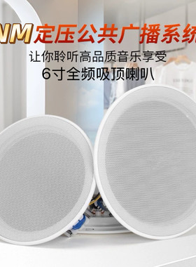 HNM吸顶音箱919B广播喇叭定压无边框扬声器天花音箱喇叭6寸低音