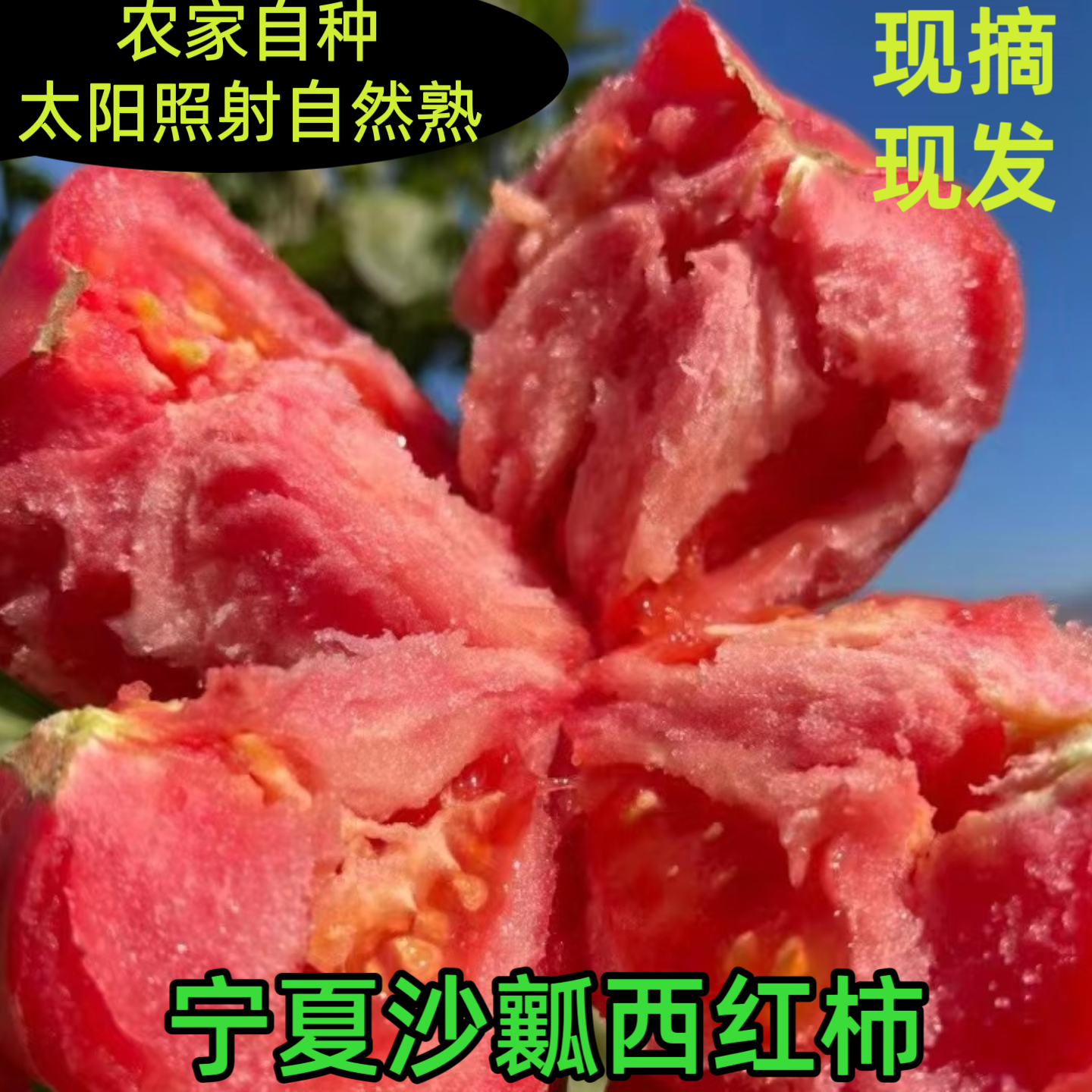 宁夏沙瓤西红柿自然熟大粉番茄生吃西红柿新鲜现摘自然熟西红柿