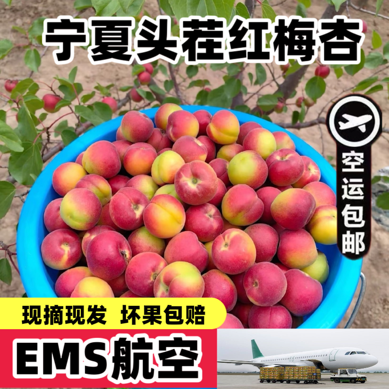 航空包邮宁夏红梅杏新鲜水果当季大红杏现摘现发红梅杏子甜杏子