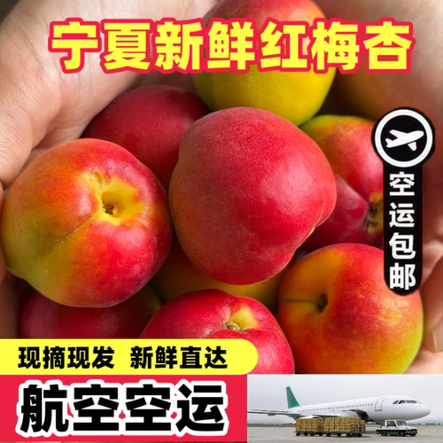 宁夏红梅杏新鲜水果现摘现发大红杏酸甜杏当季甜杏子红梅杏子孕妇
