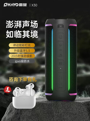 雷登X30户外骑行便携50W可插U盘