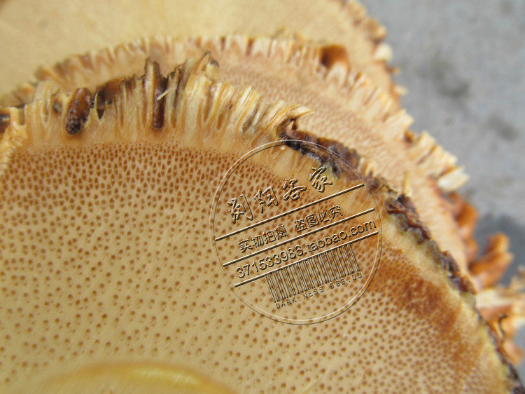 BAMBOO ROOT BRACELET RAW MATERIALS CAVIAR BRACELET MATERIALS COASTER MATERIALS BRACELET MATERIALS CHAPTER MATERIALS