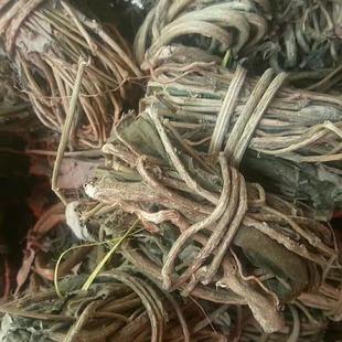 客家汤料臭屁藤牛乳树根五指毛桃鸡骨草地牛大力乌脚鸡银江金针菜