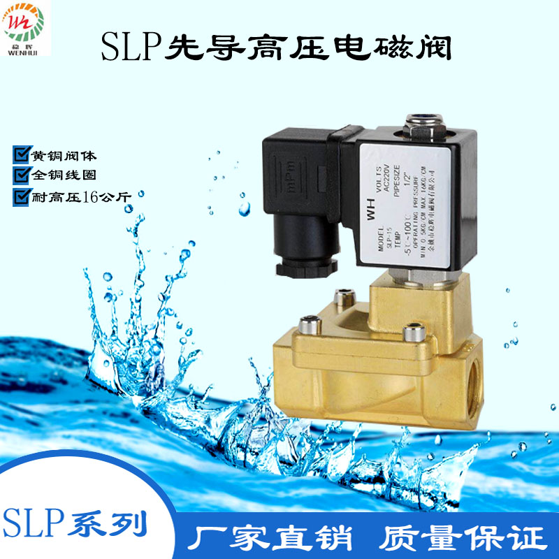 高压阀先导式稳辉SLP16公斤压力