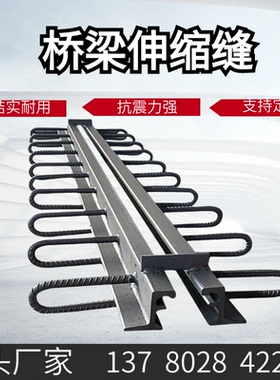 公路桥梁伸缩缝GQF-C40F60EZ80RG160D异型钢梳齿板毛勒缝橡胶支座