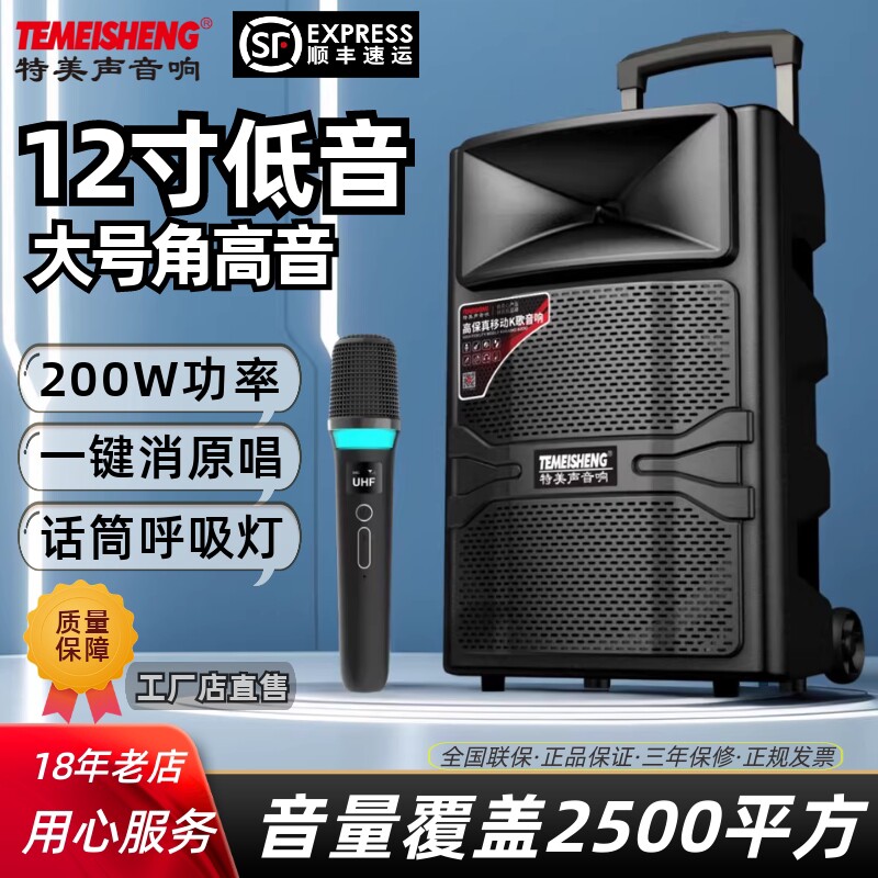 特美声户外12寸大功率广场舞音响带无线话筒K歌蓝牙充电拉杆音箱