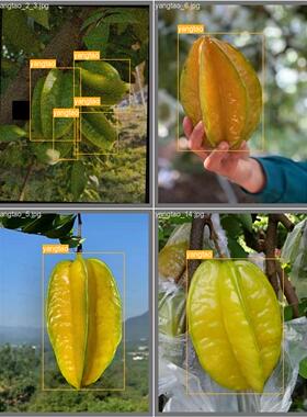 DL00569-基于yolov8的杨桃目标检测识别含数据集