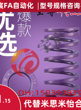 模具弹簧矩形弹簧紫色SSWC进口合金钢五金配件耐热TY米思米