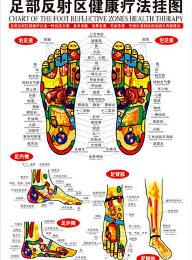 足底按摩穴位图足部反射区挂图经络挂图棒笔书人体脚底针灸点穴