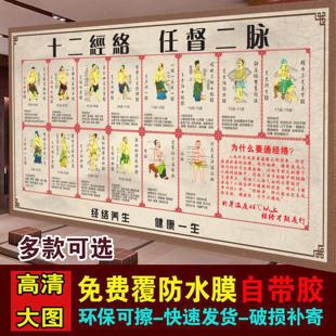 人体十二经络穴位图解任督二脉中医养生保健穴位挂图海报经脉走向