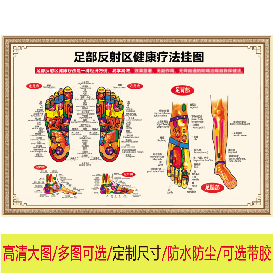 足部反射区健康疗法挂图