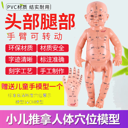 小儿推拿穴位模型人体模特经络全身娃娃仿真婴儿中医按摩月嫂婴