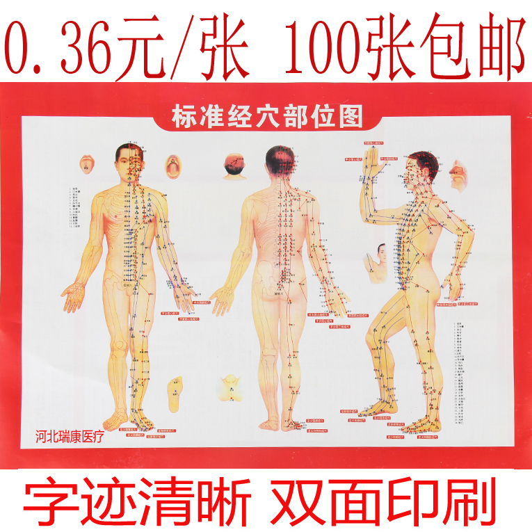 人体穴位图标准经穴部位图足部挂图经络家全身图解中医针灸摆摊地