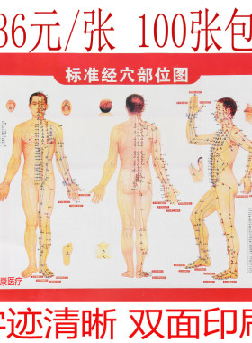 人体穴位图标准经穴部位图足部挂图经络家全身图解中医针灸摆摊地