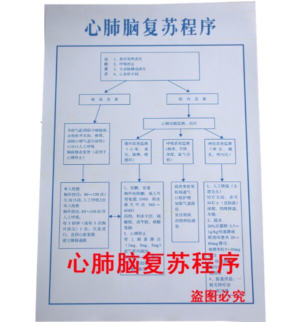 心肺脑复苏程序医院挂图门诊用流程讲解抢救清晰急救表挂图展板村