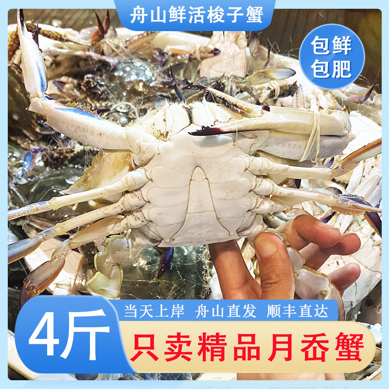 舟山梭子蟹鲜活特大公蟹新鲜白蟹海蟹飞蟹活蟹海鲜水产活体发货怎么看?