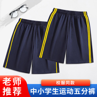 儿童藏青色短裤夏季薄款男女童一二条杠五分裤中小学生休闲校服裤