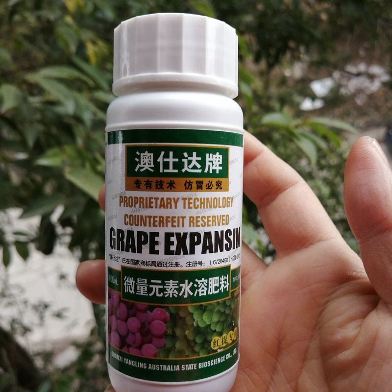 澳仕达葡萄膨大剂膨大素调节剂红提维多利亚玫瑰香兰玉软梗不裂果