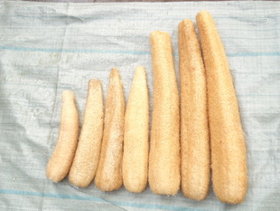 天然农家老干丝瓜络瓜瓤刷锅洗碗不沾油洗澡搓澡巾沐浴球浴花原色