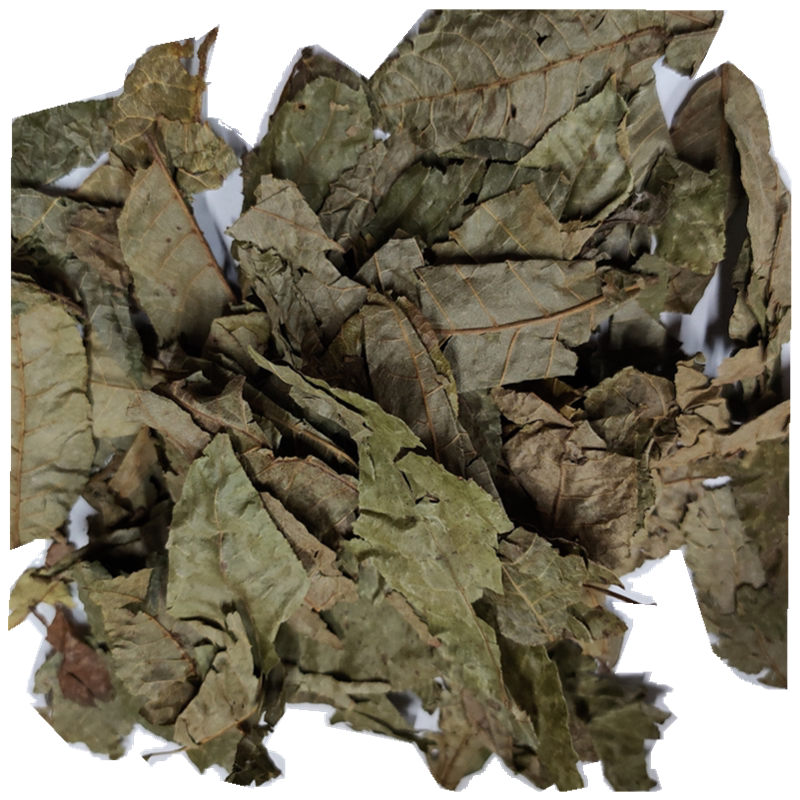 青钱柳茶古树原叶清钱柳养身茶高山无糖金钱柳嫩叶每件500g